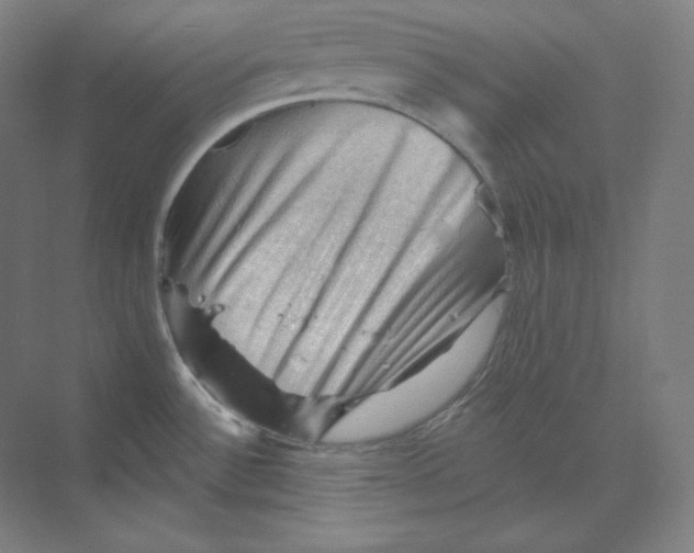 X0000068821532200606021604