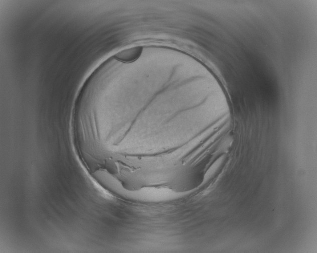 X0000068821533200606021604