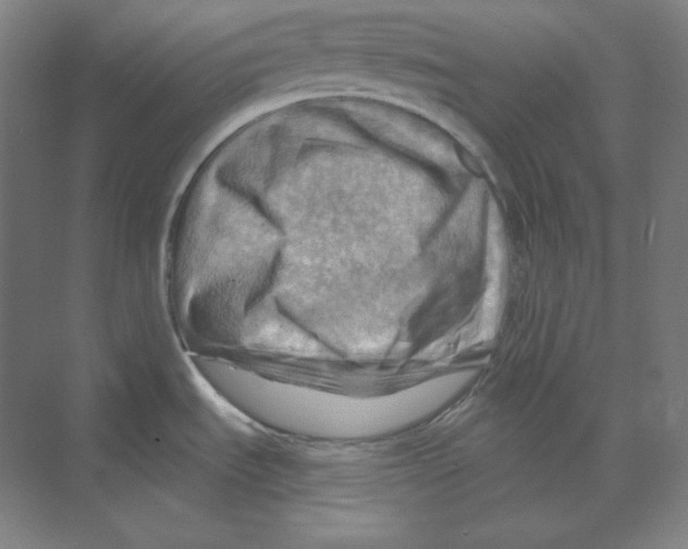 X0000068821535200606021604