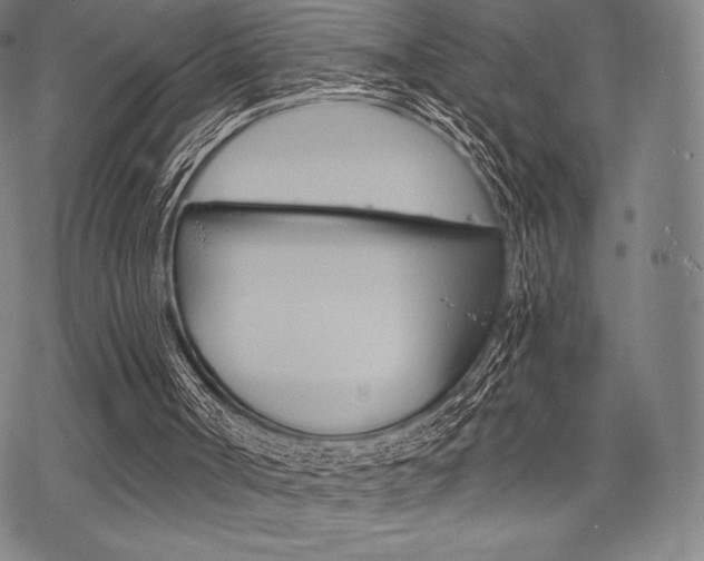 X0000068830002200605050930