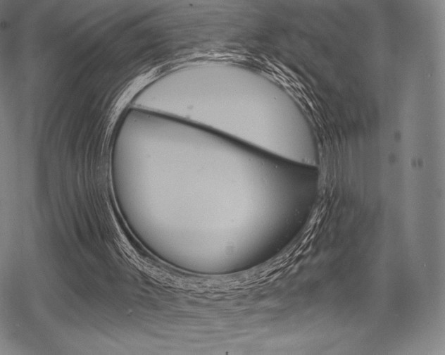 X0000068830003200605050930