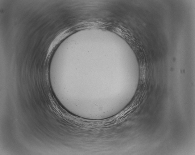 X0000068830004200605050930