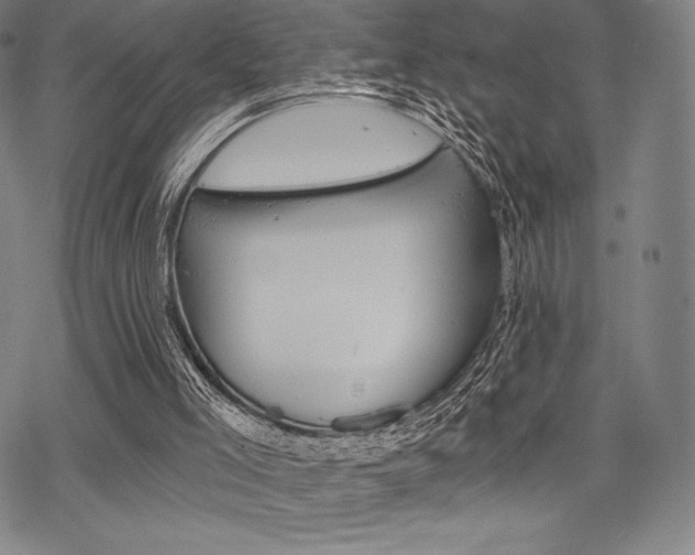 X0000068830005200605050930