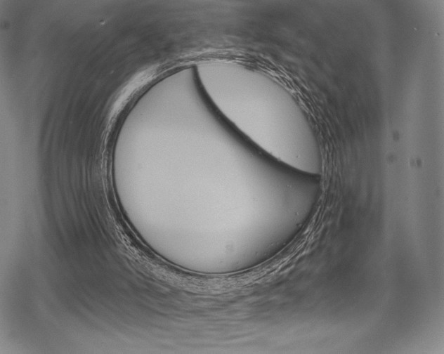 X0000068830006200605050930