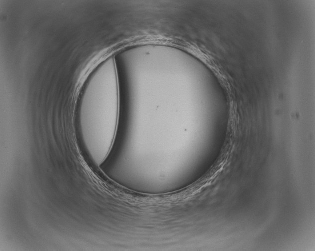 X0000068830007200605050930