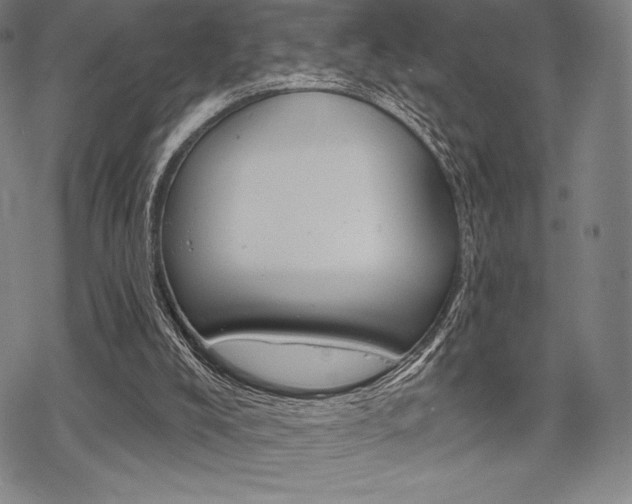 X0000068830008200605050930