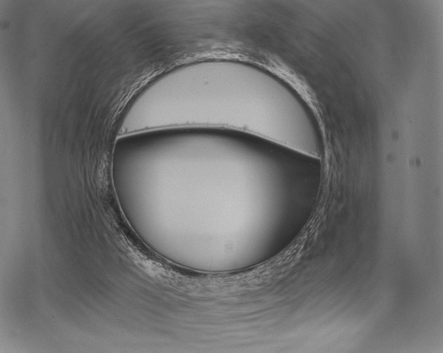 X0000068830009200605050930