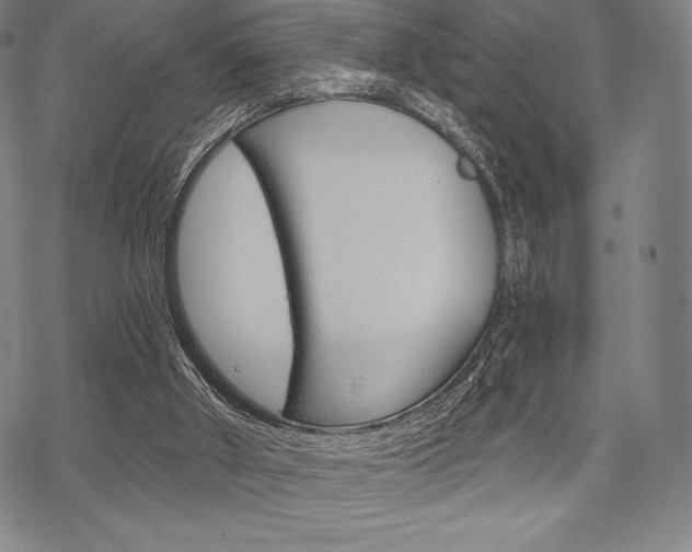 X0000068830010200605050930