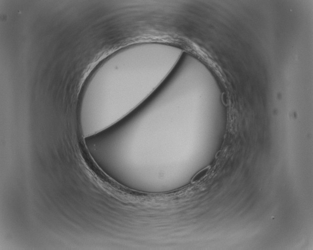 X0000068830011200605050930