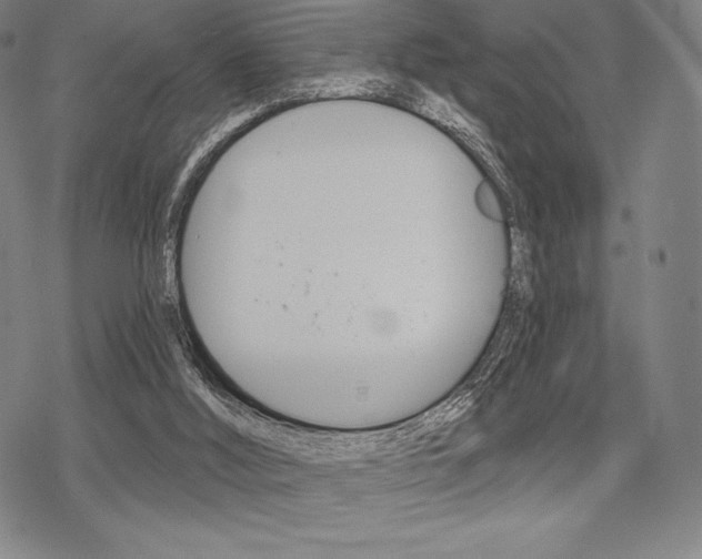 X0000068830012200605050930