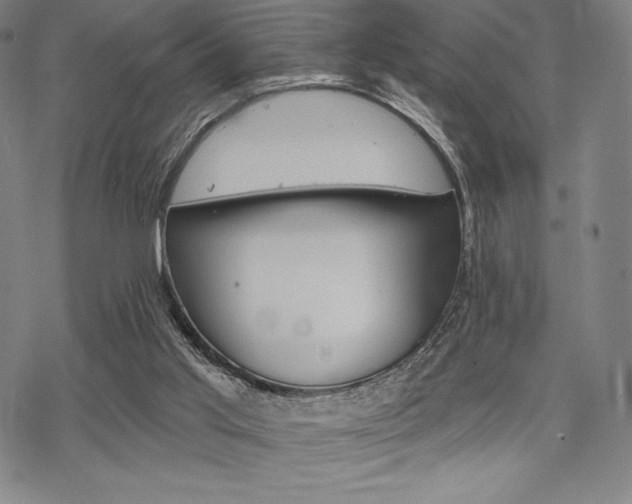 X0000068830013200605050930