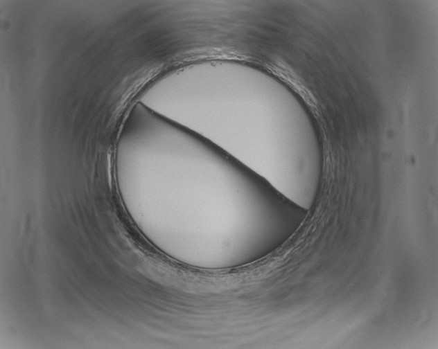 X0000068830014200605050930