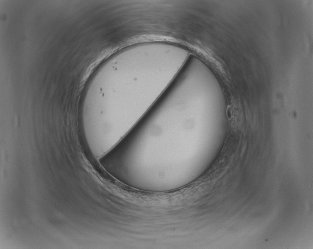 X0000068830015200605050930