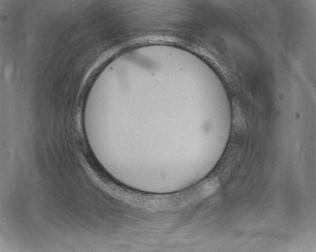 X0000068830016200605050930