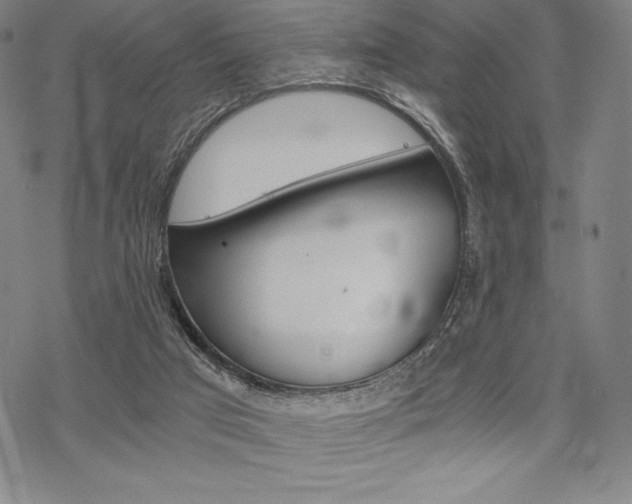 X0000068830017200605050930