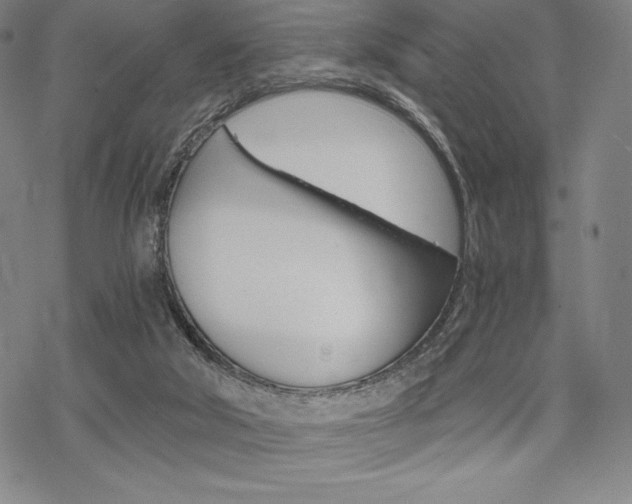 X0000068830018200605050930