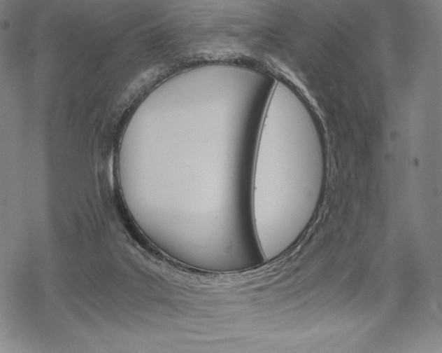 X0000068830019200605050930