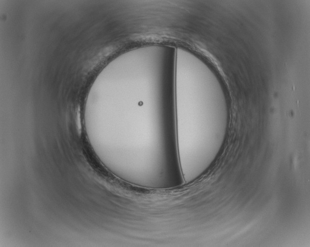 X0000068830020200605050929