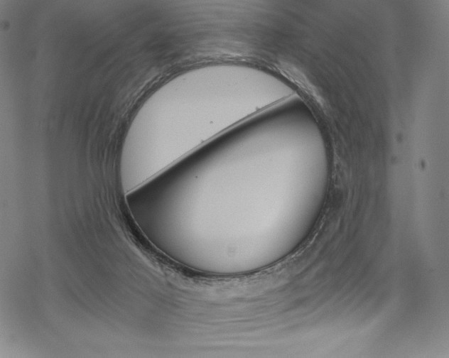 X0000068830021200605050929