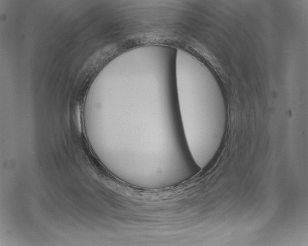 X0000068830022200605050929