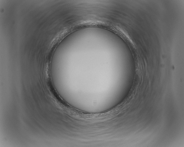 X0000068830023200605050929