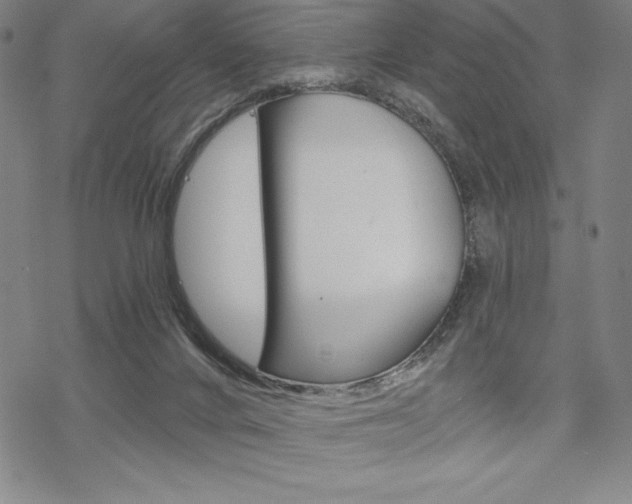 X0000068830024200605050929