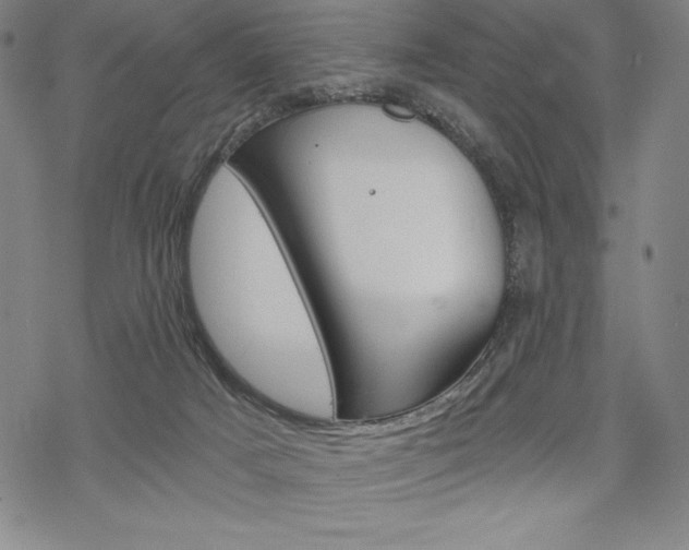 X0000068830025200605050929