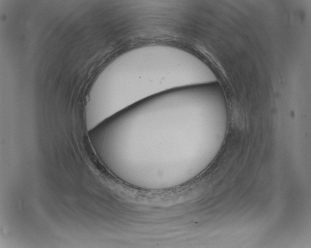 X0000068830026200605050929