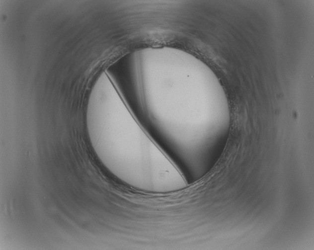 X0000068830027200605050929