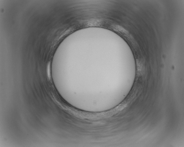 X0000068830028200605050929