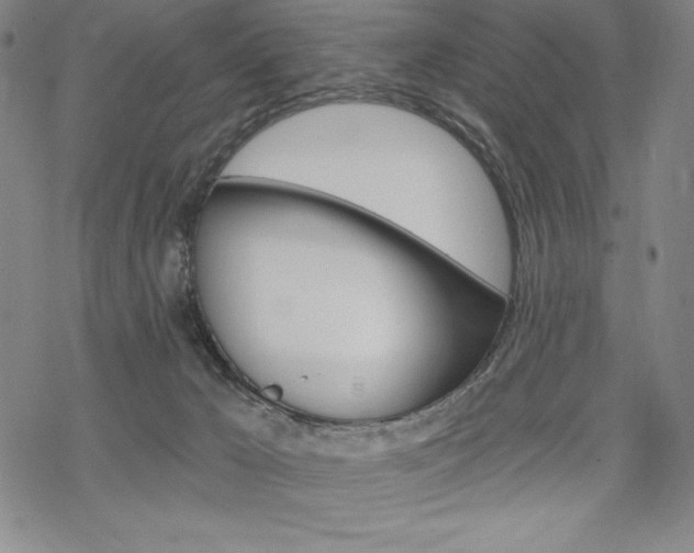 X0000068830029200605050929