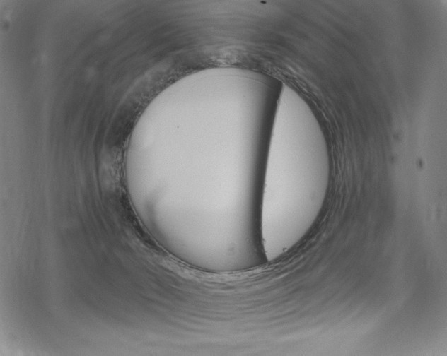 X0000068830030200605050929