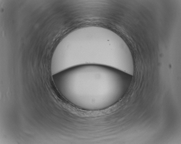 X0000068830031200605050929