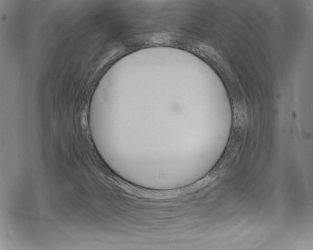 X0000068830032200605050929