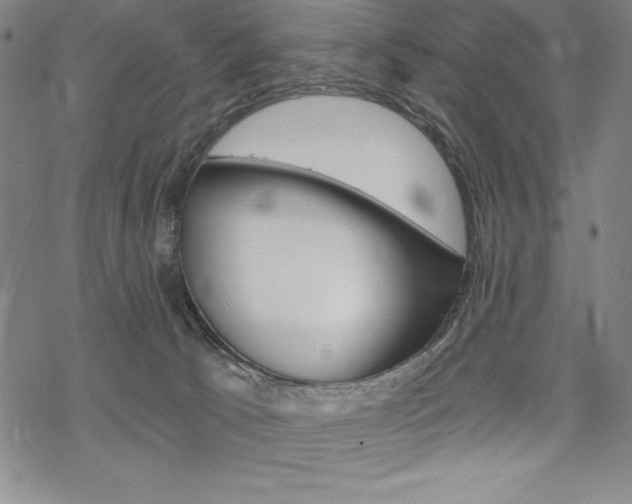 X0000068830033200605050929