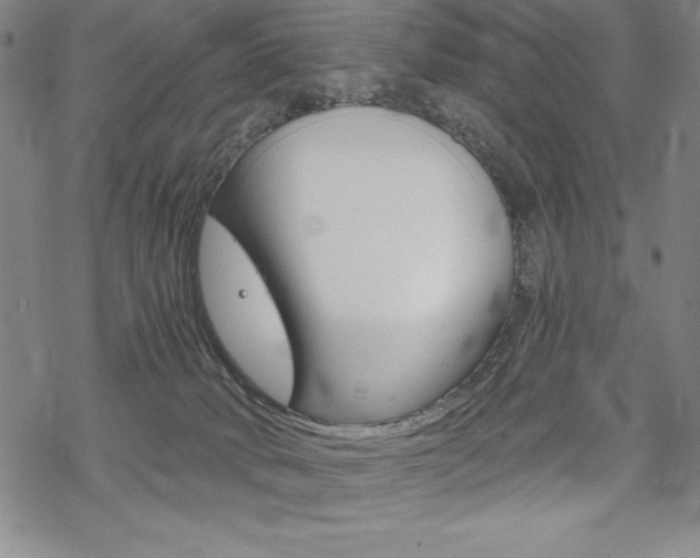 X0000068830034200605050929