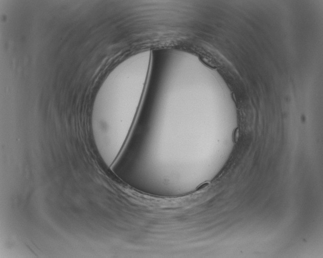 X0000068830035200605050929