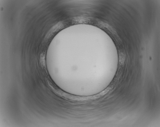 X0000068830036200605050929