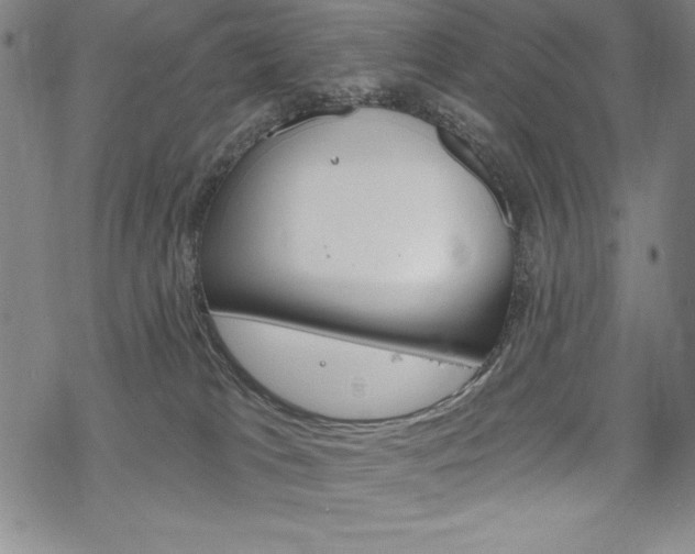 X0000068830037200605050929