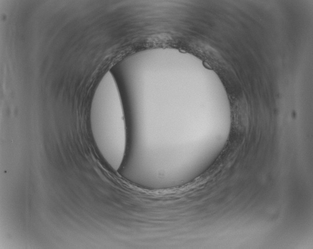 X0000068830038200605050929