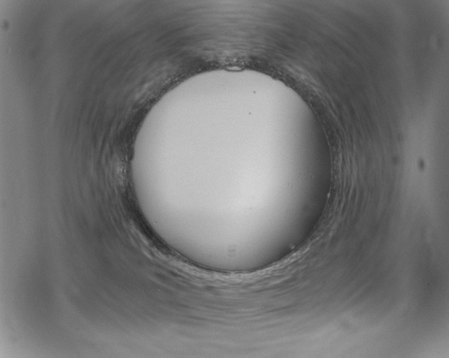 X0000068830039200605050929