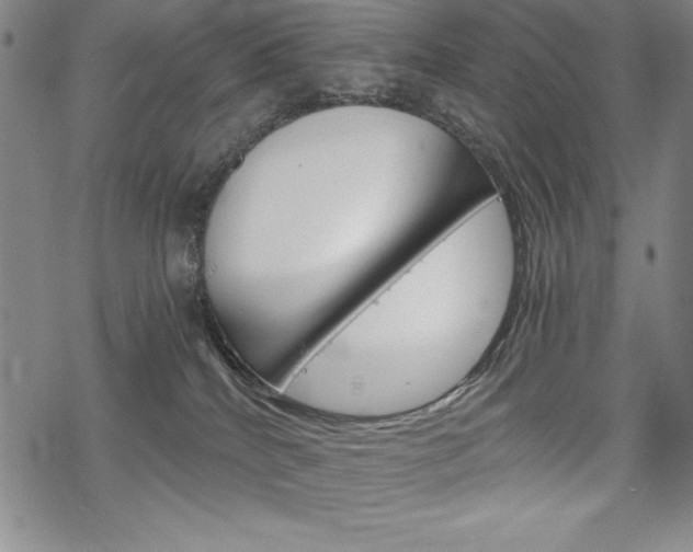 X0000068830040200605050929