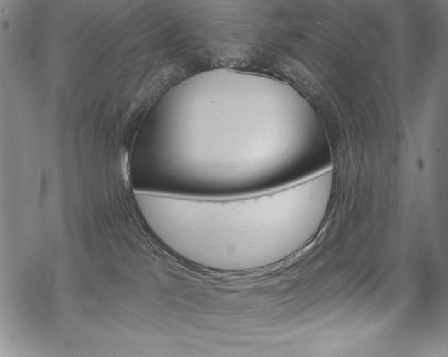 X0000068830041200605050929