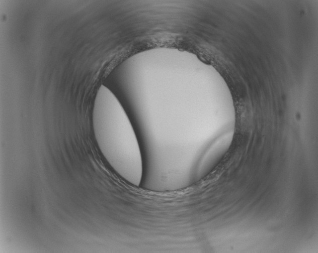 X0000068830042200605050929