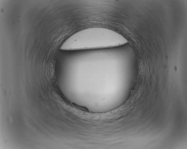 X0000068830043200605050929