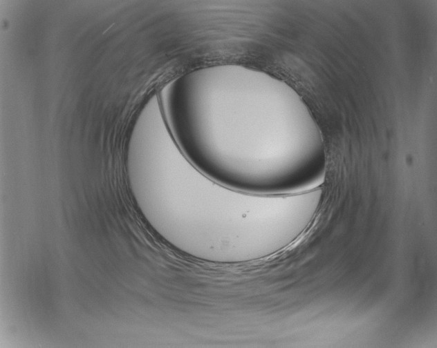 X0000068830045200605050929