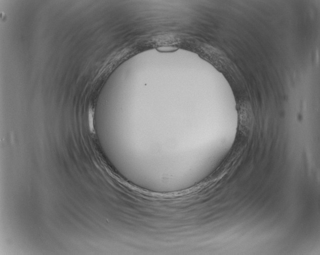 X0000068830046200605050929