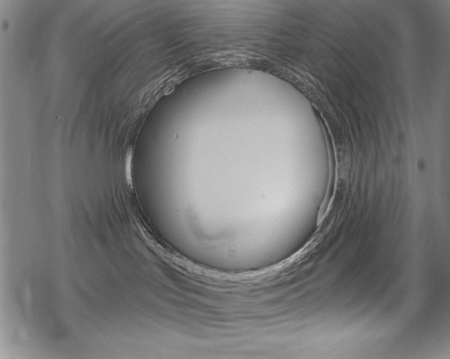 X0000068830047200605050929