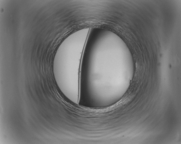 X0000068830048200605050929