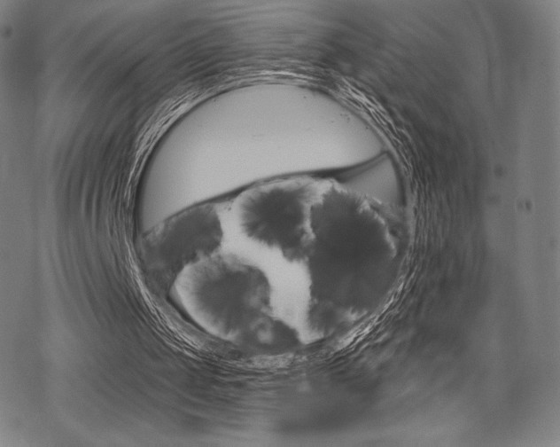 X0000068830049200605050928